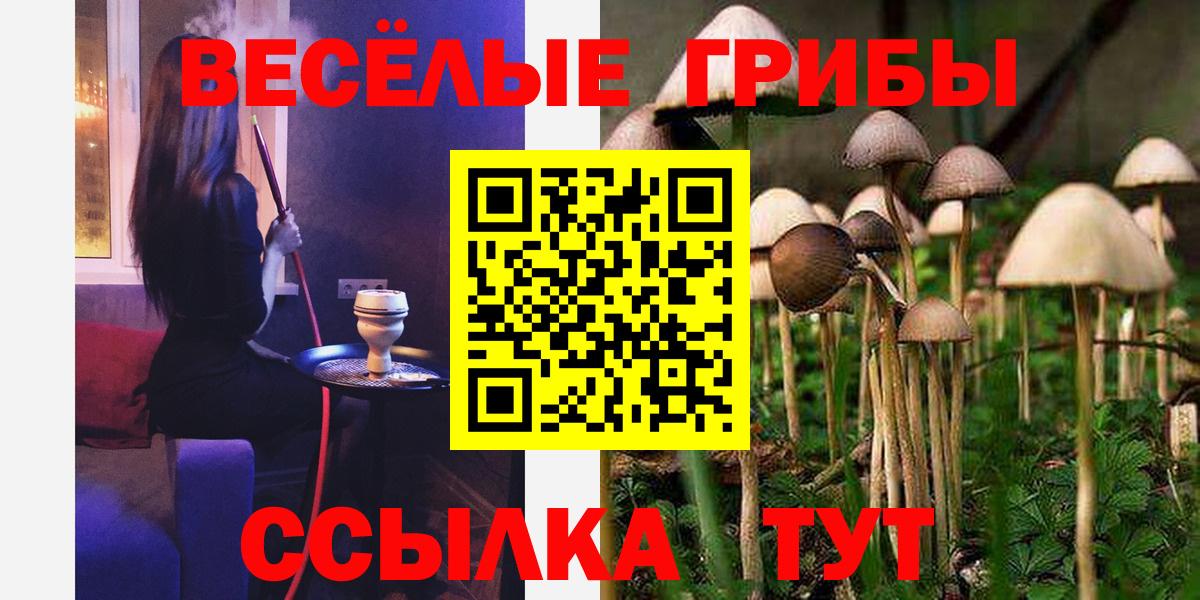Котельники  продажа наркотиков  Галлюциногенные грибы GOLDEN TEACHER  Вход с VPN  Псилоцибиновые грибы прущие грибы 
